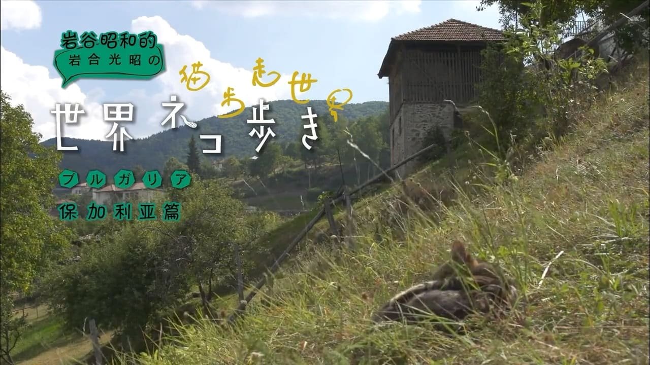 Episode 12