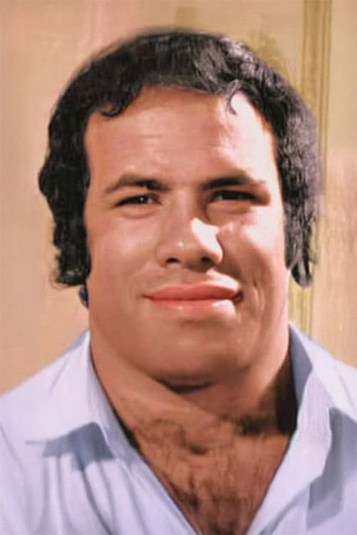 et billede af Firouz