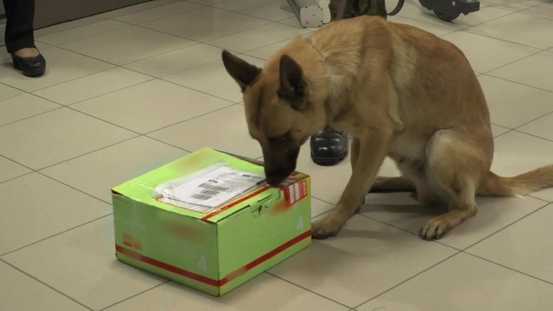 To Catch a Smuggler