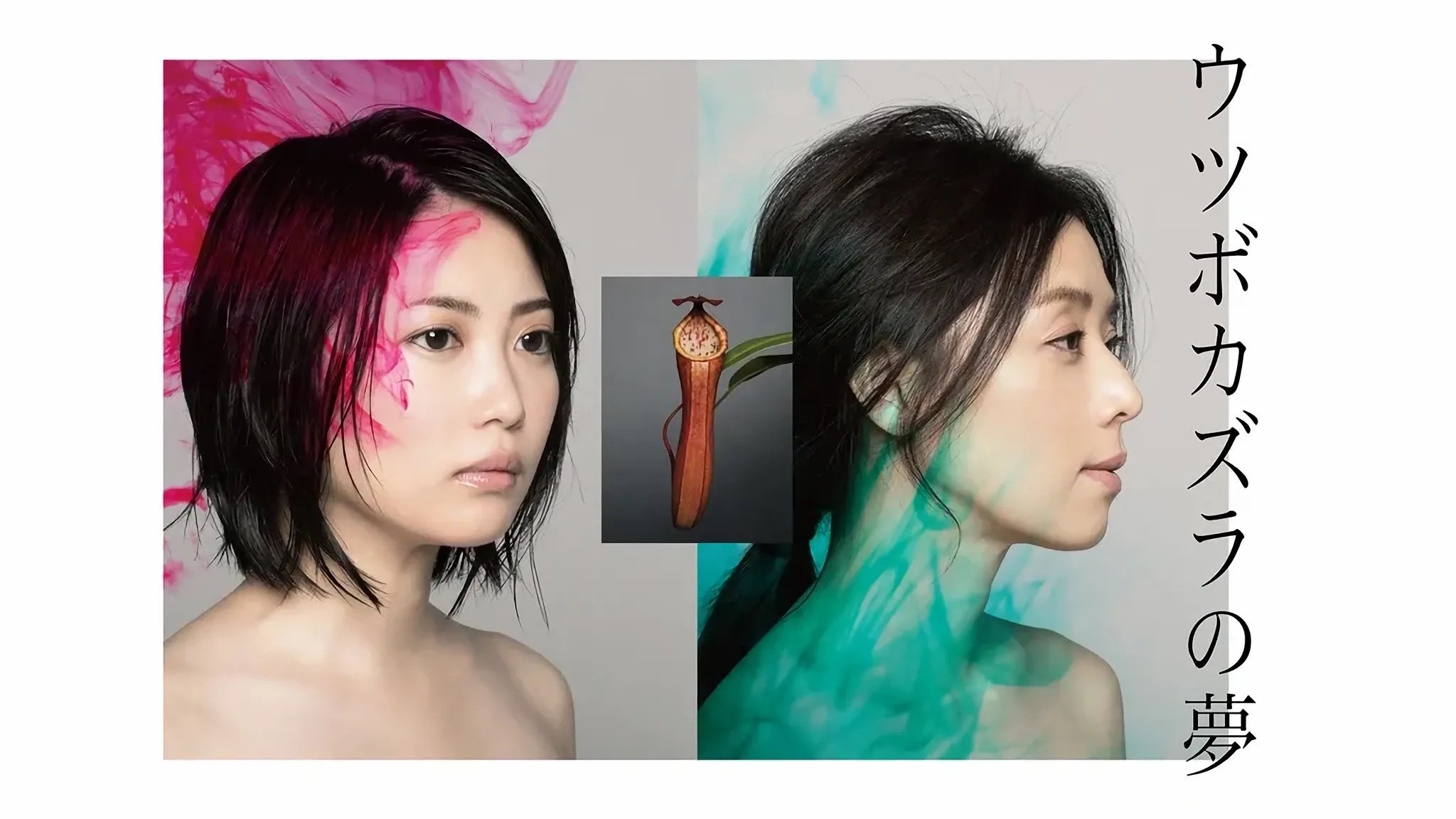 The Dream of Nepenthes backdrop cover