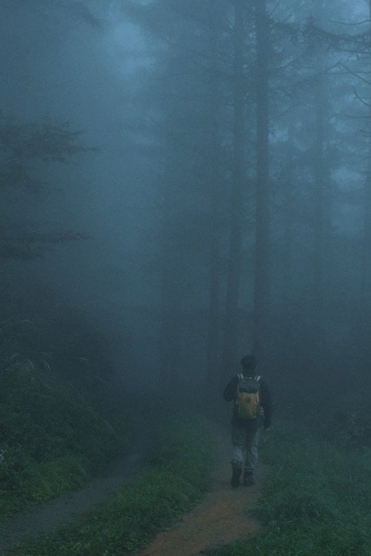 Men Wandering in the Mountain