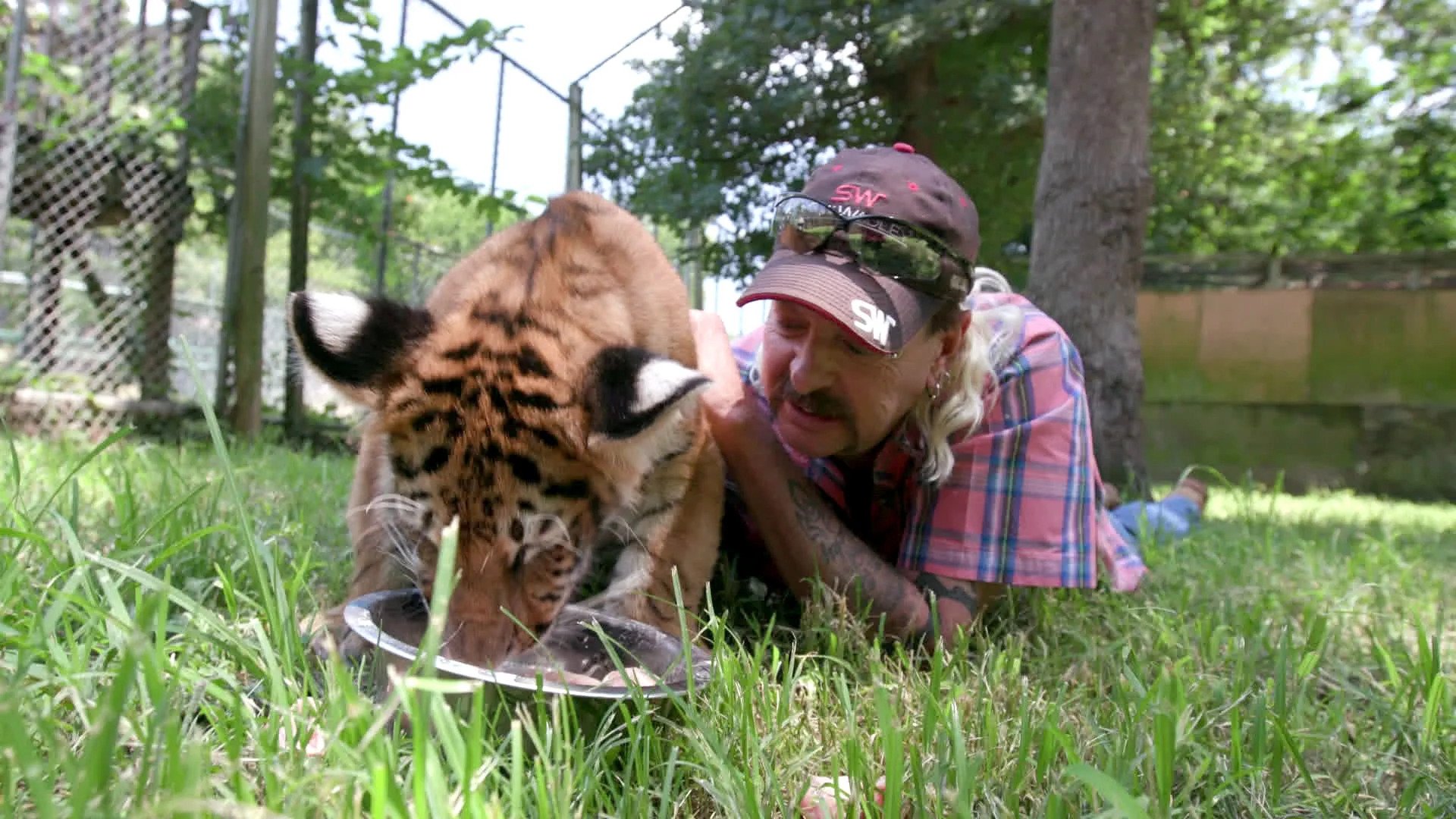Tiger King