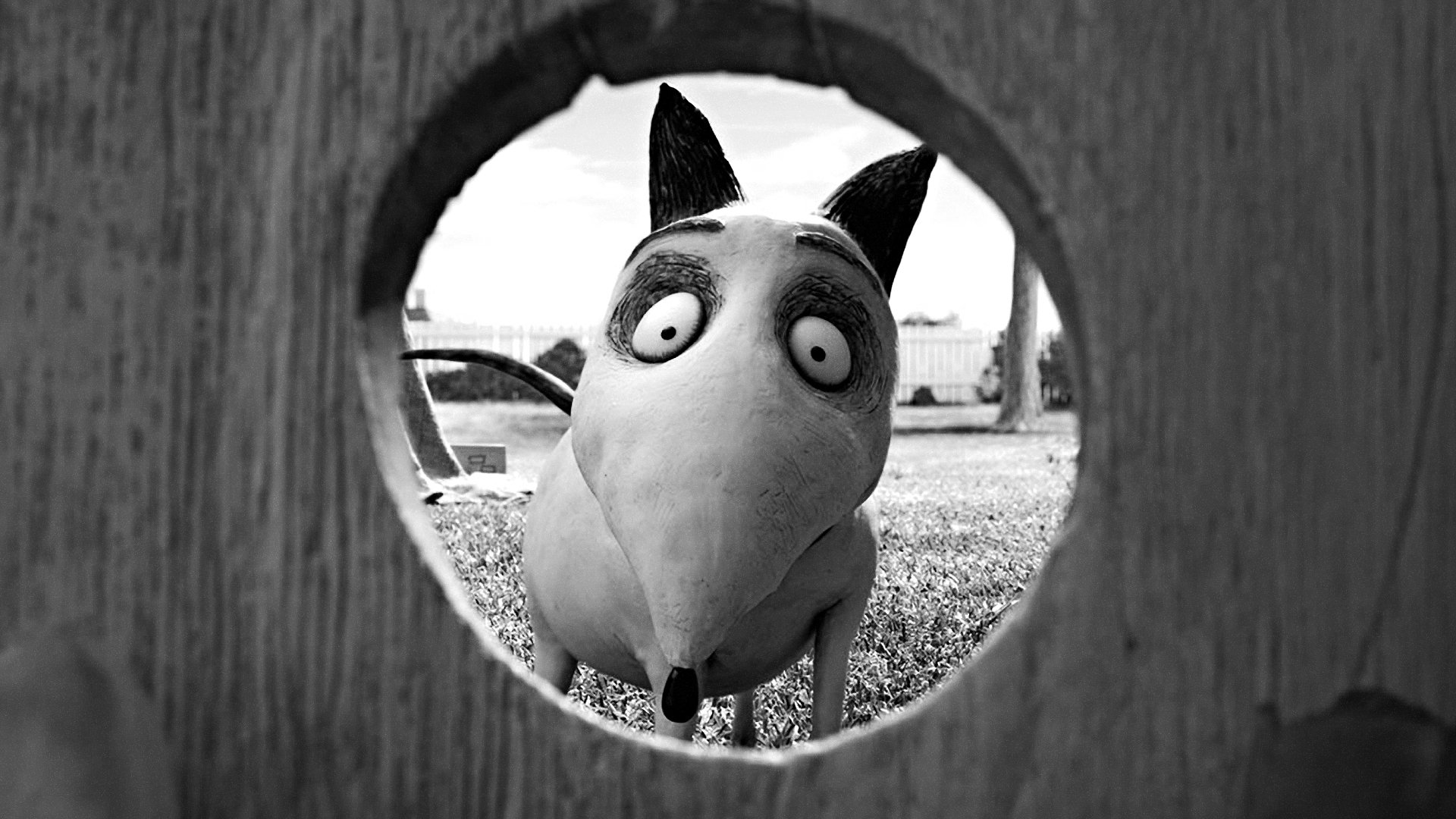 Frankenweenie: Domácí mazlíček