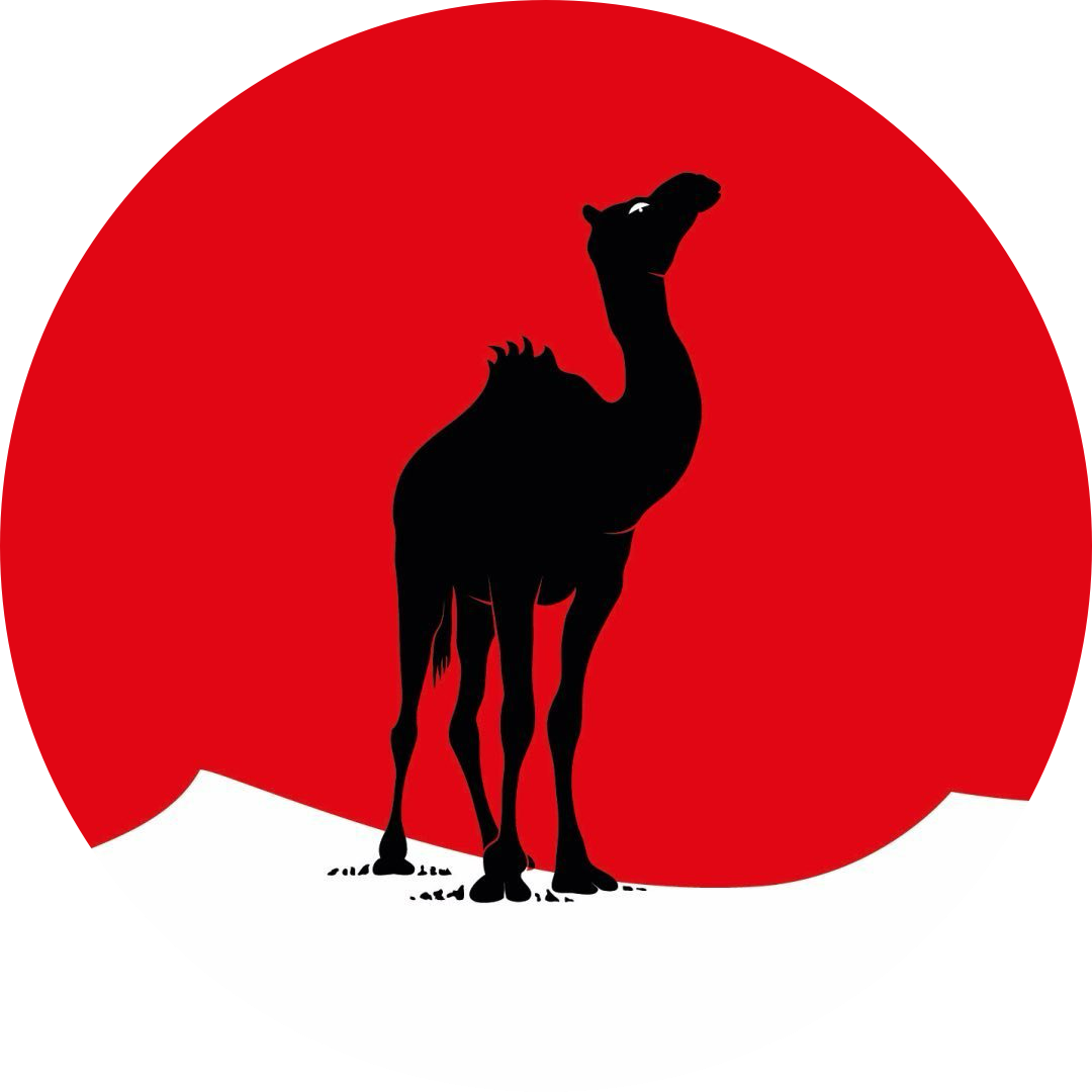 Black Camel Pictures