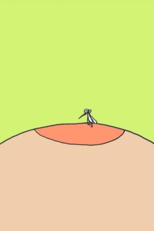 Content cover