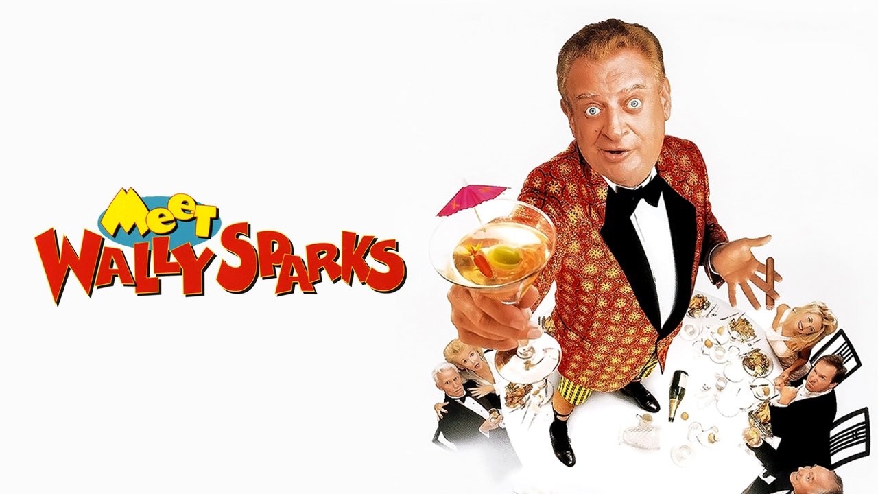 Meet Wally Sparks (1997)