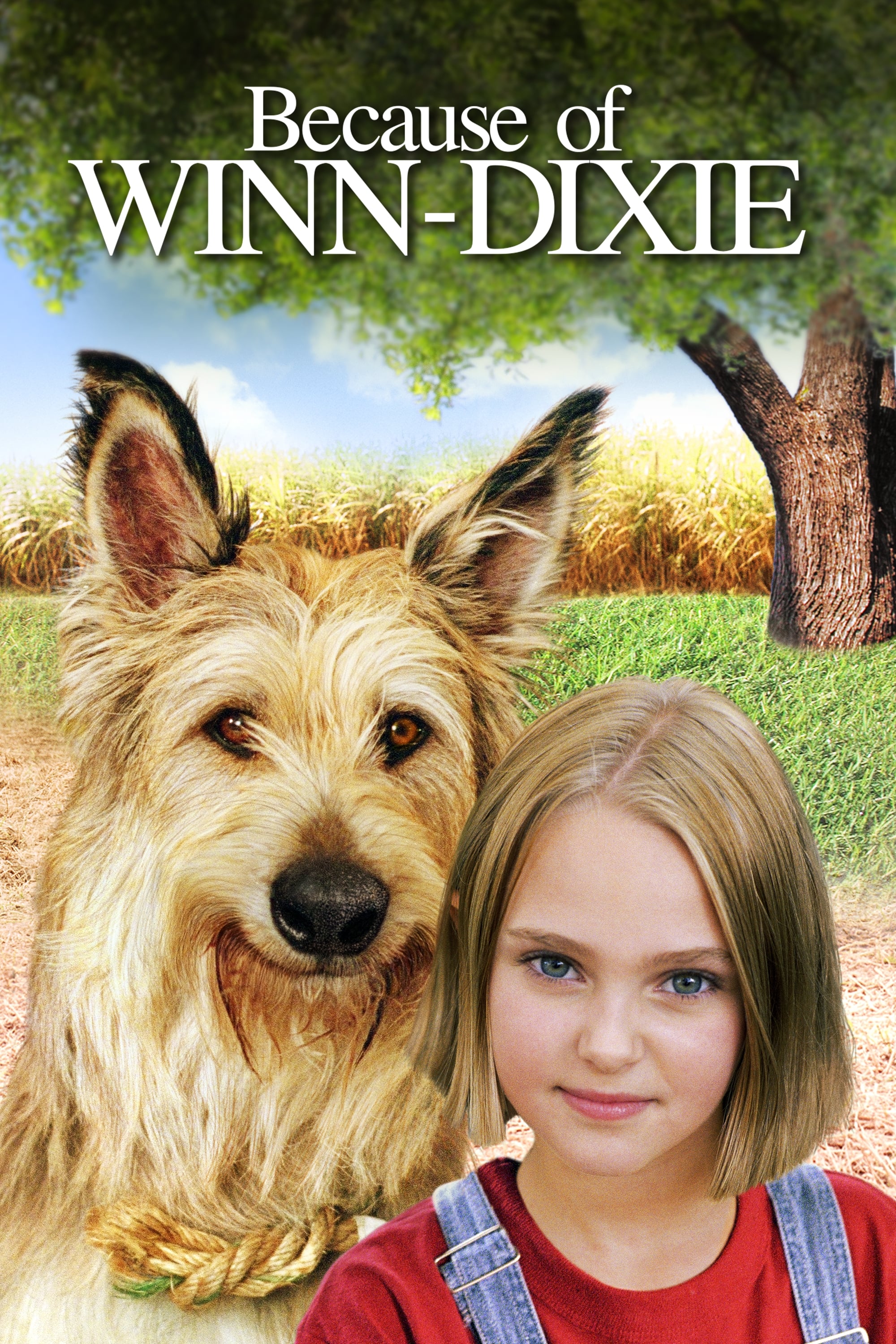 2005 Because Of Winn-Dixie