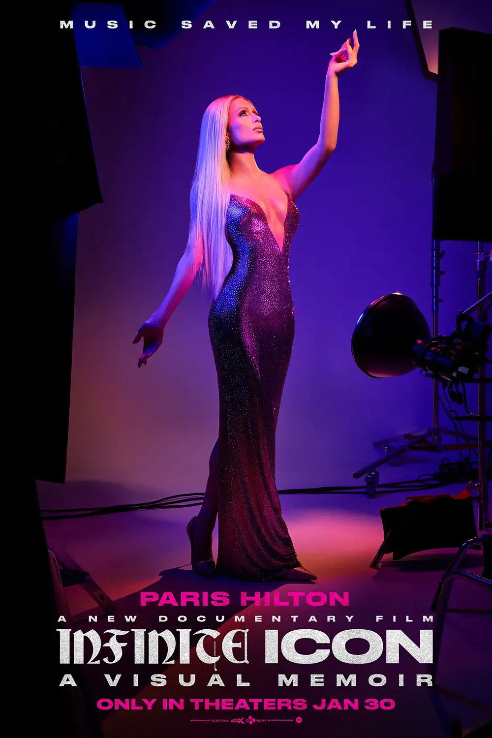 Infinite Icon: A Visual Memoir