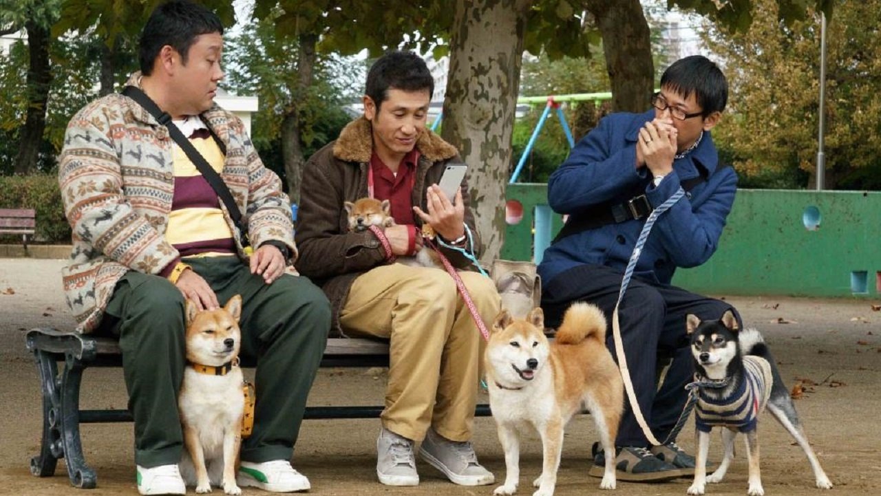 Shiba Park