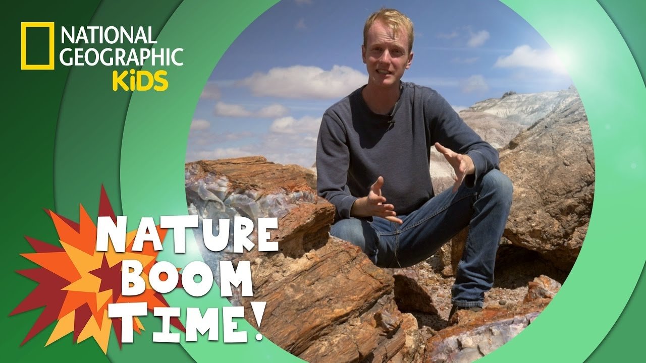 Thumbnail for Petrified Forest National Park Season 1 Episode 4