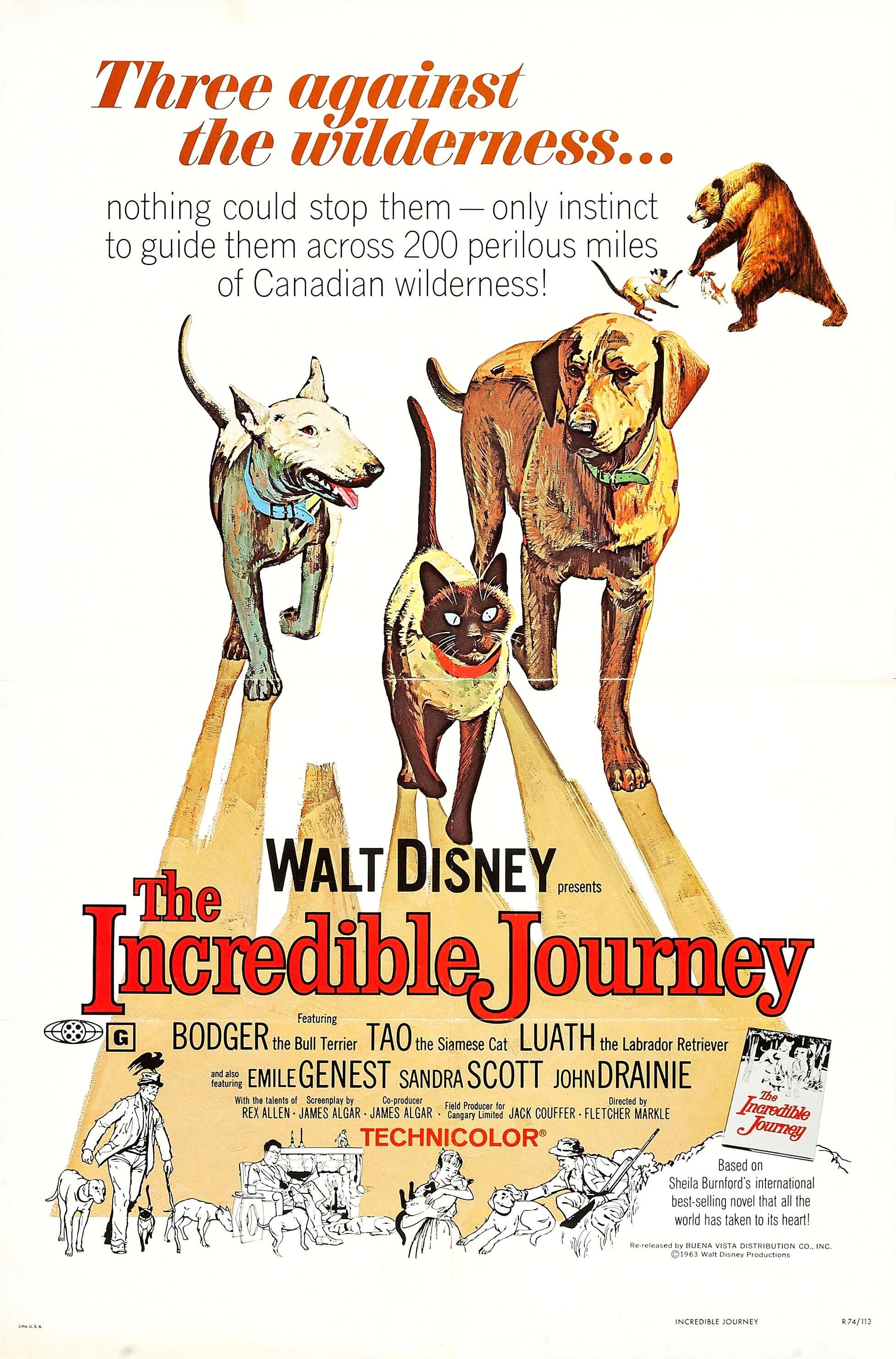 the incredible journey full movie online free