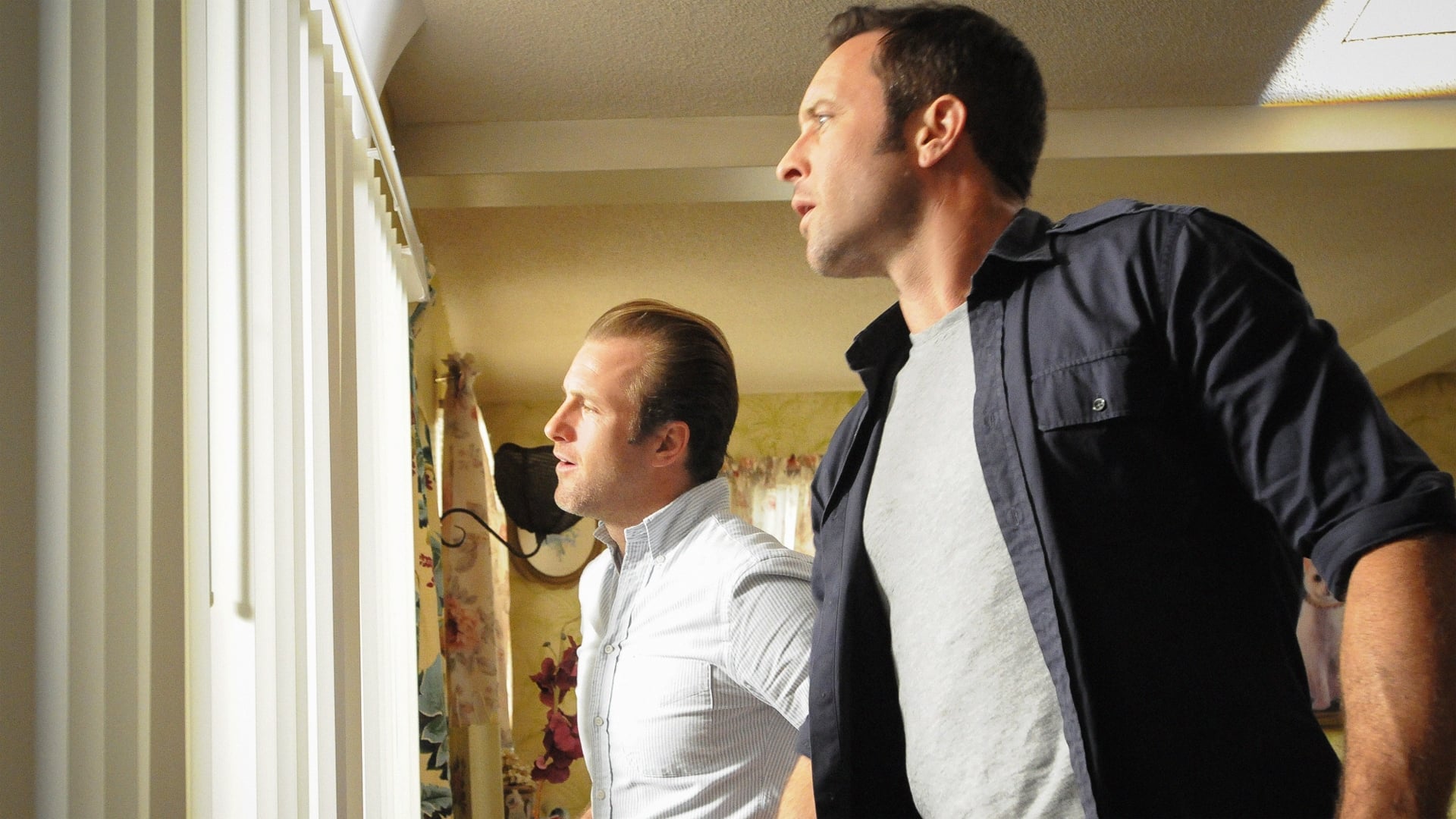 Hawaii Five-0 Season 5 Episode 17