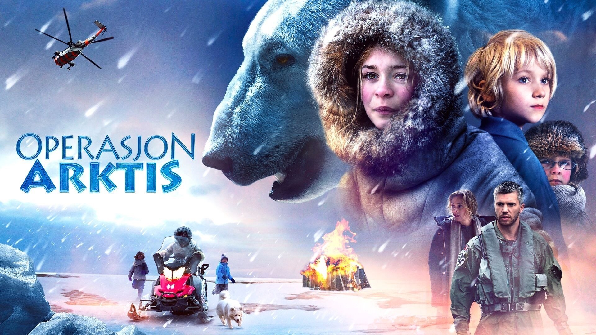 Operation Arctic (2014)