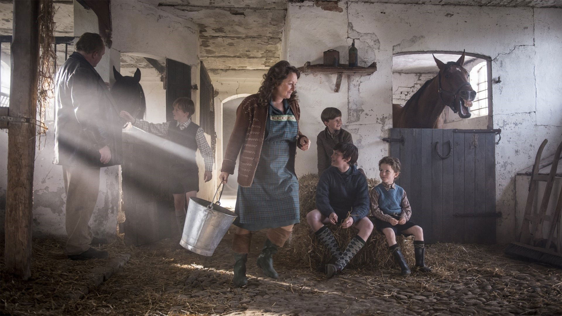 Tarok (2013)
