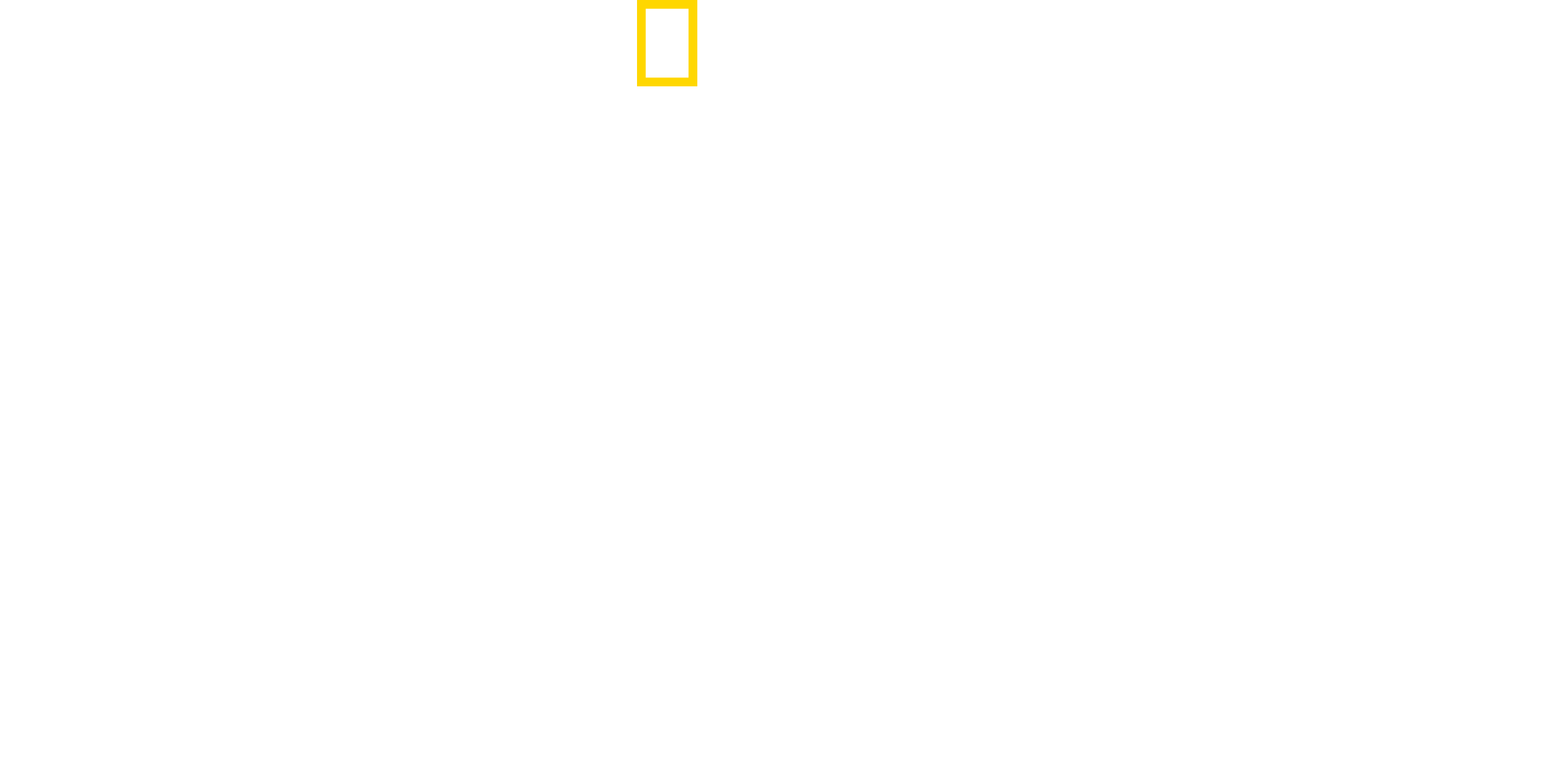 Storm Rising Logo