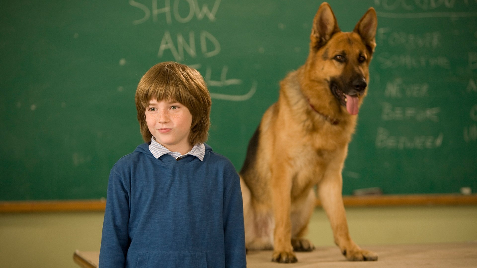 Cool Dog (2010)