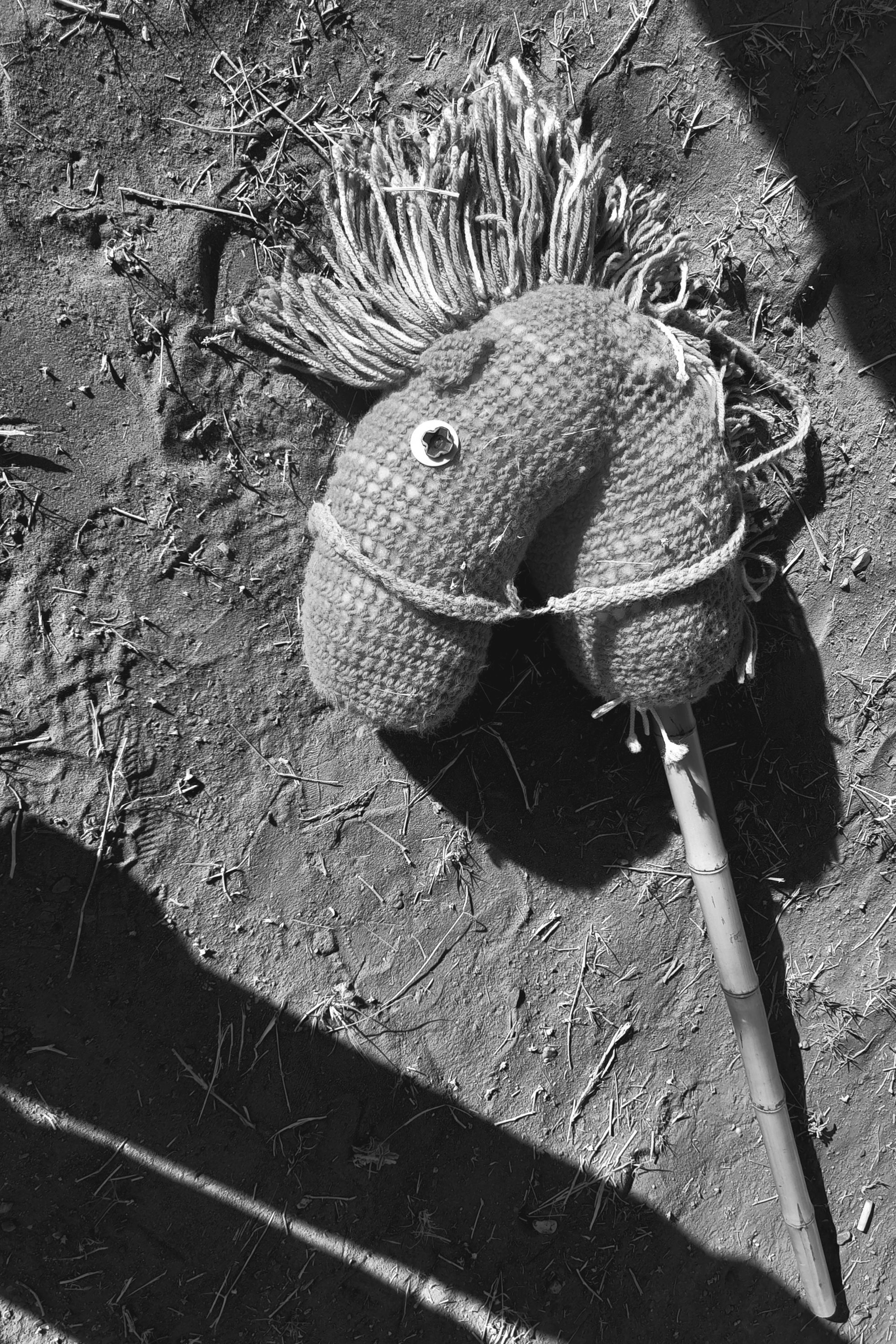 These Lands Are Not For Sale