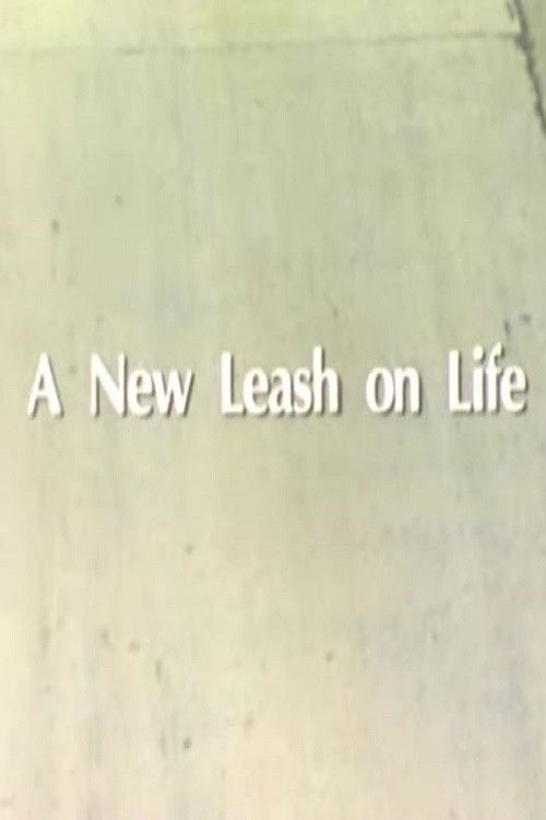 A New Leash On Life