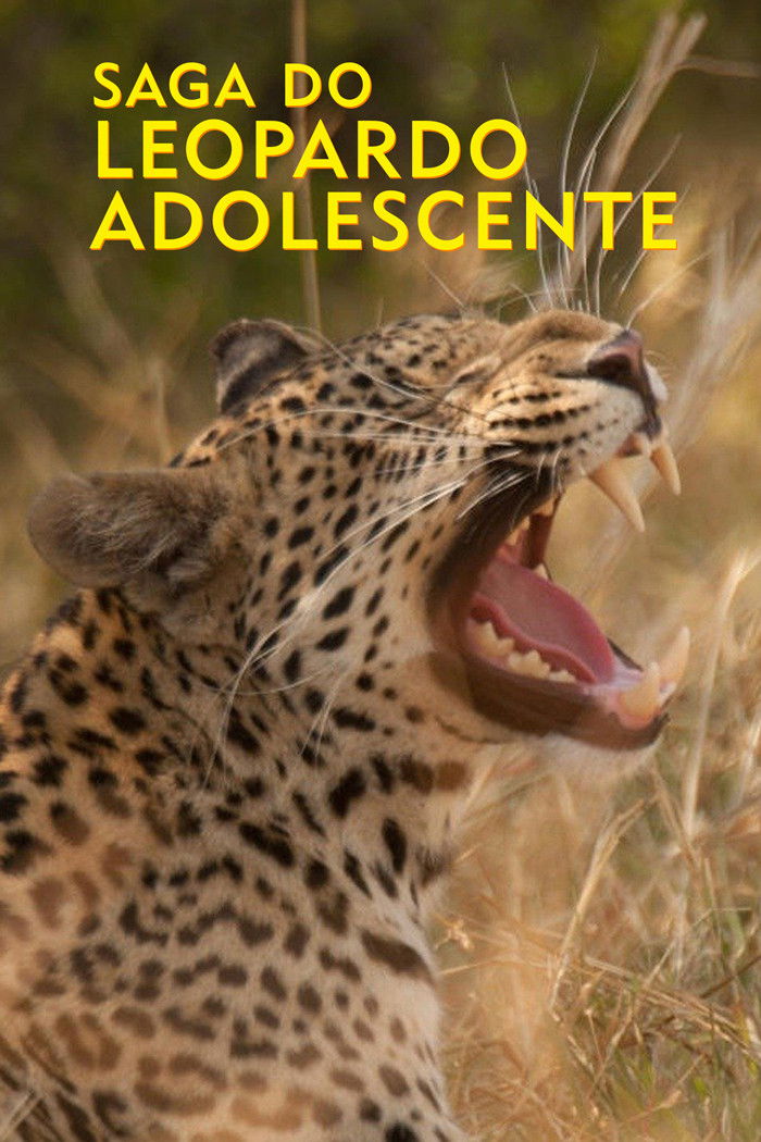 Diary of a Teen Leopard