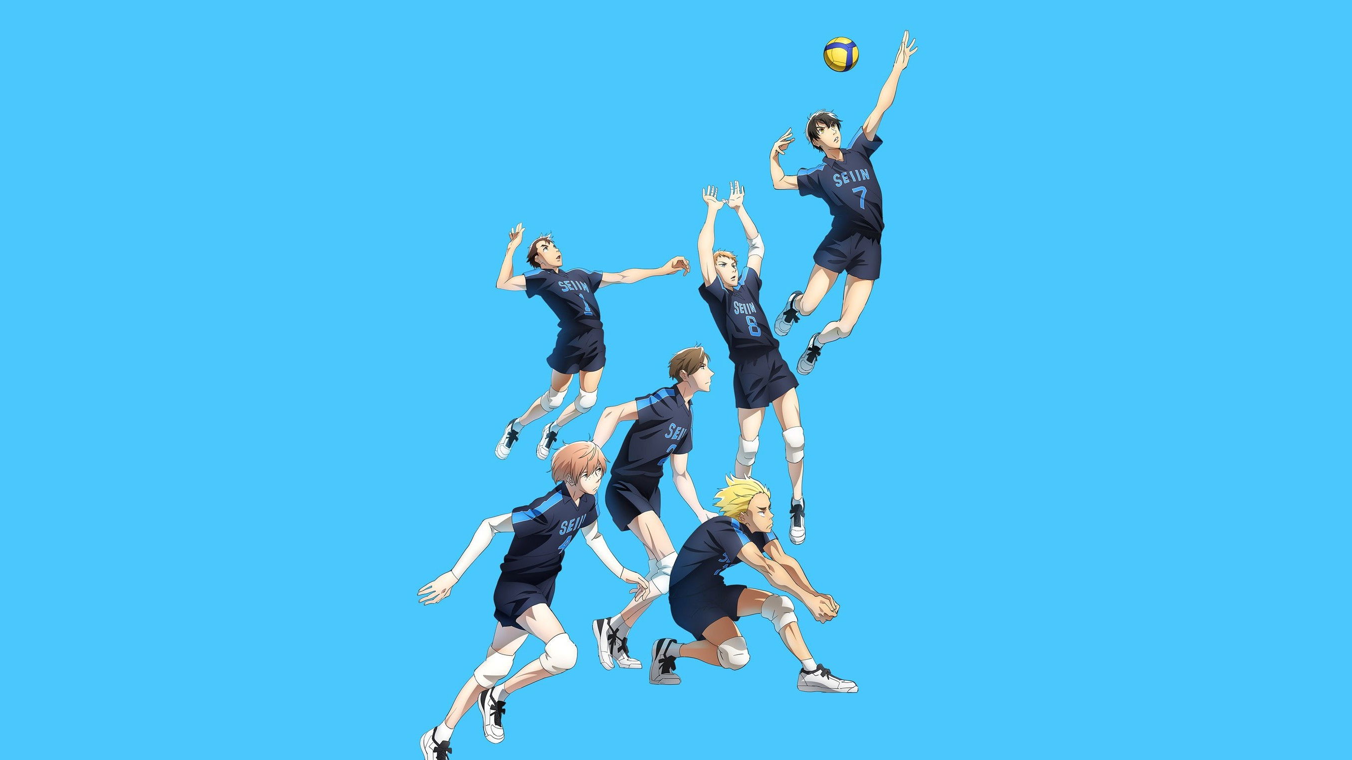 2.43: Seiin High School Boys Volleyball Team
