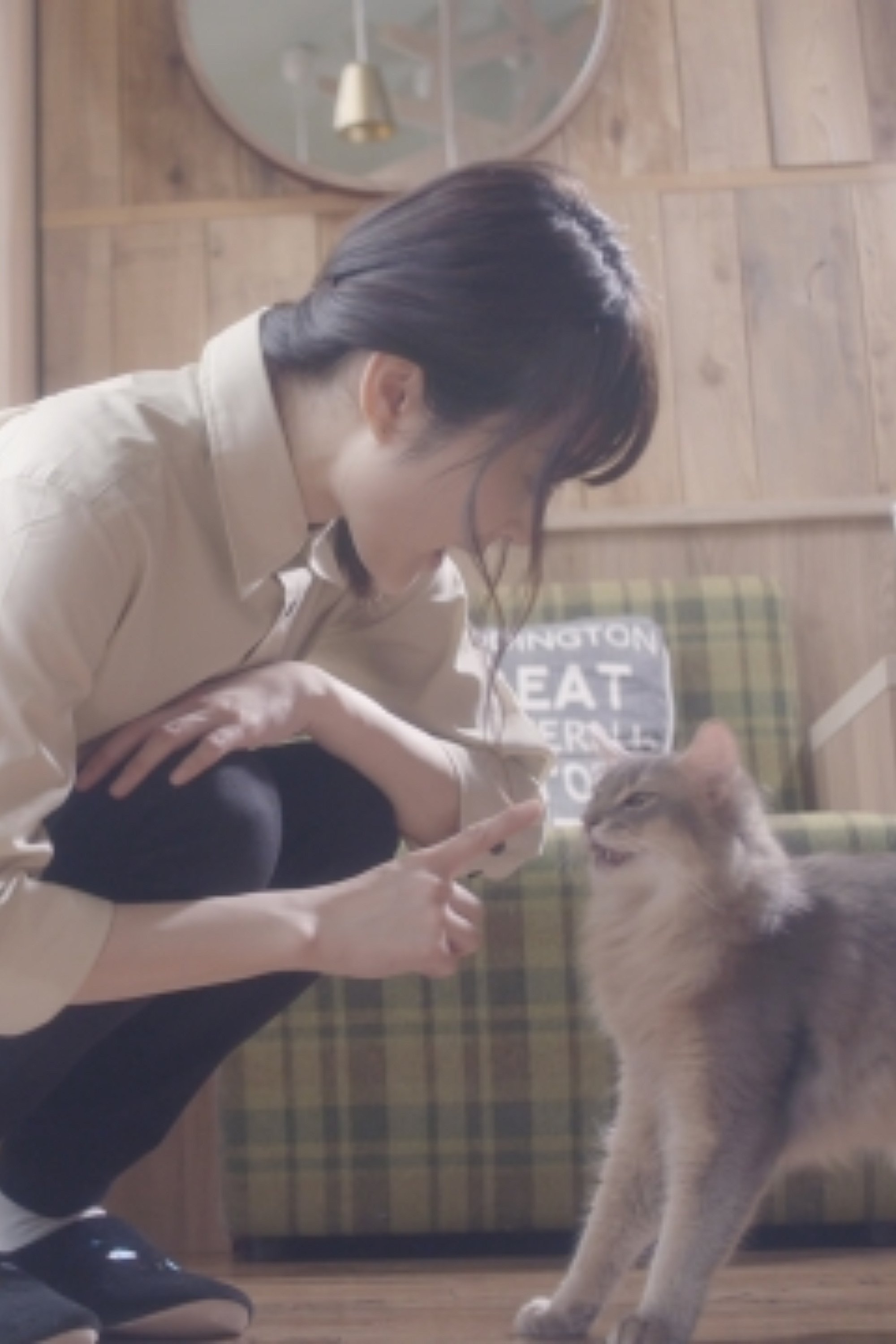 Cat Cafe