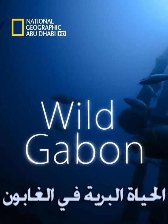 Wild Gabon