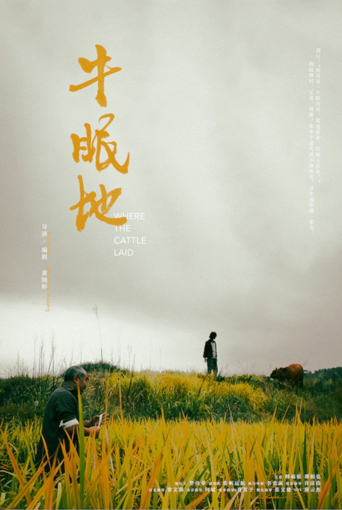 Where the Cattle Laid