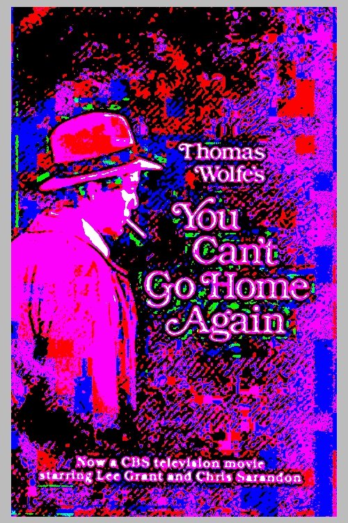 You Can't Go Home Again