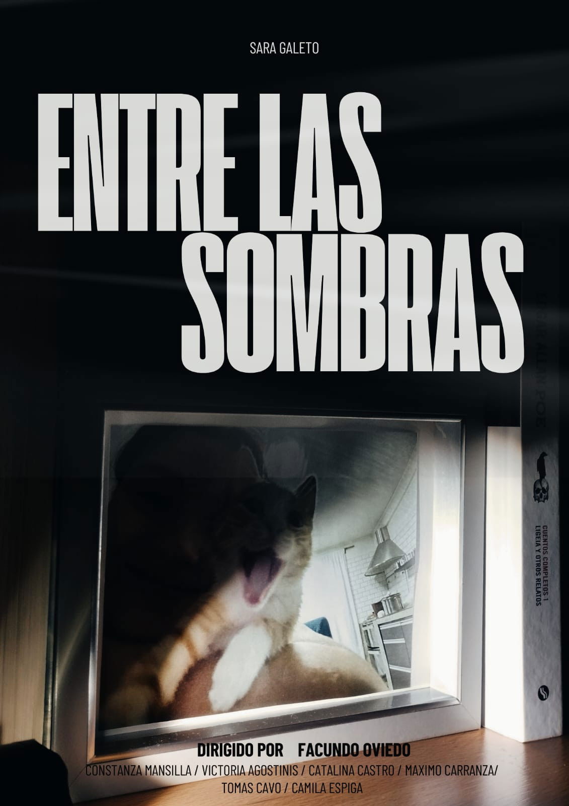 Entre las sombras
