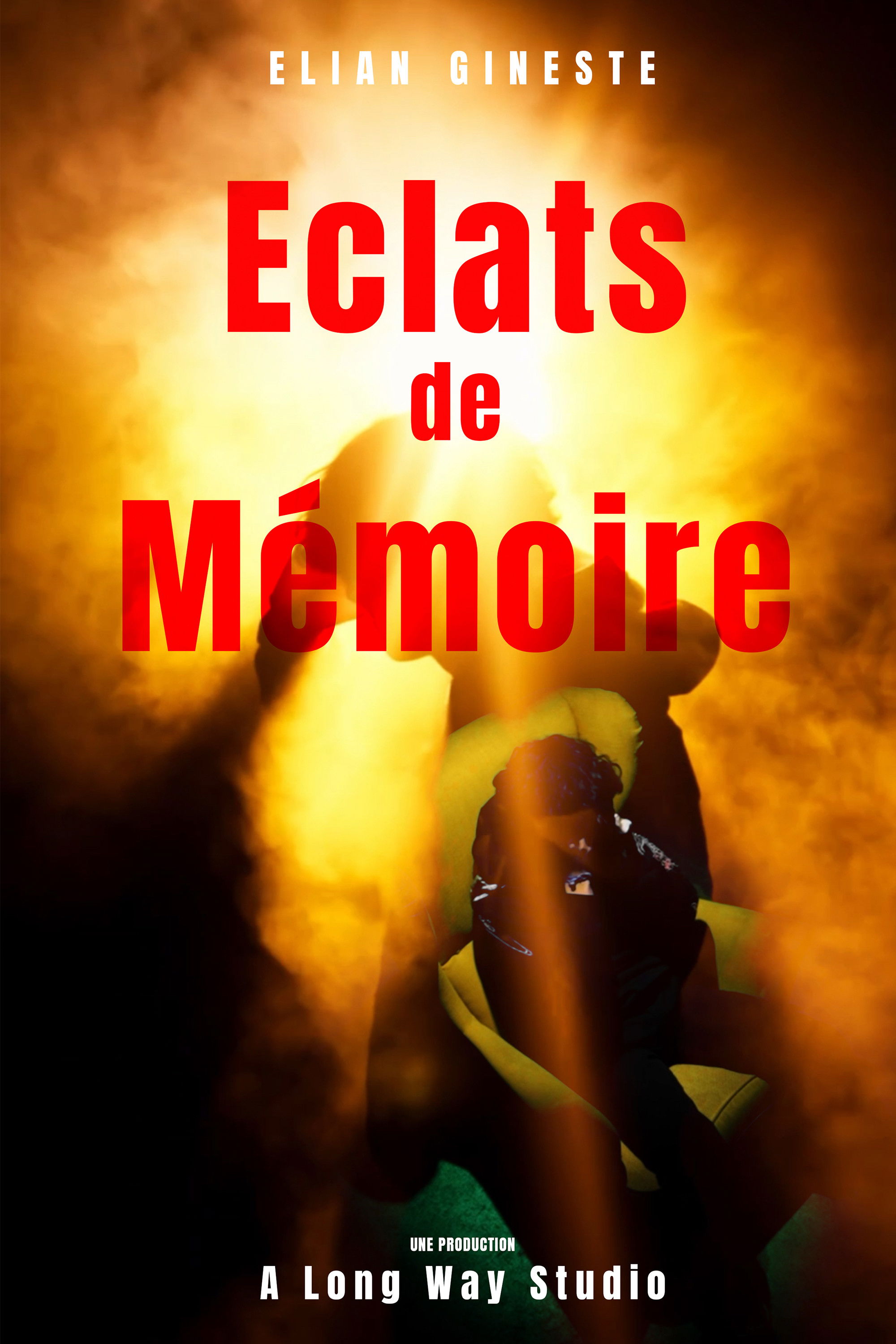 Eclats de Mémoire