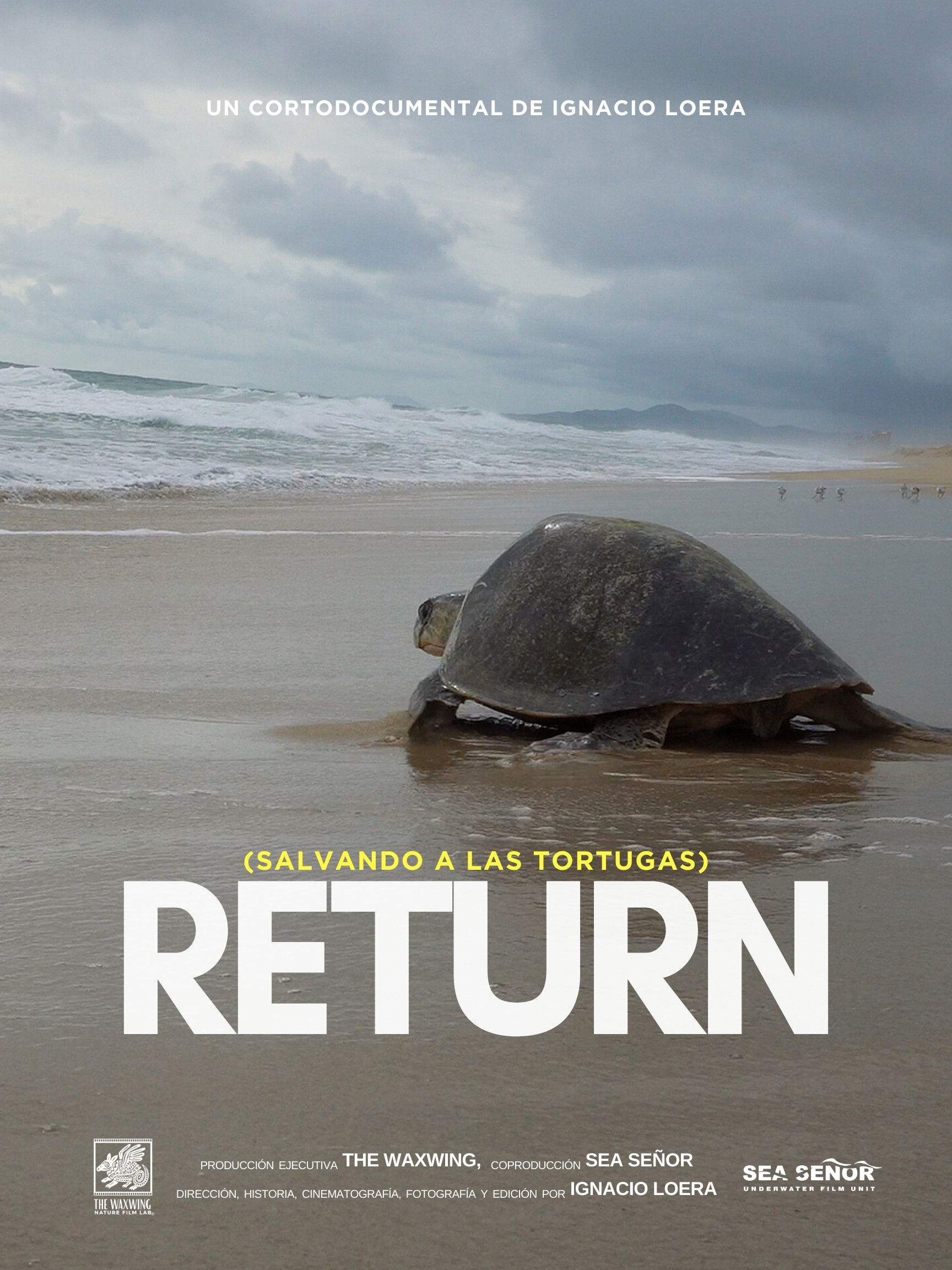 Return: Salvando a las Tortugas