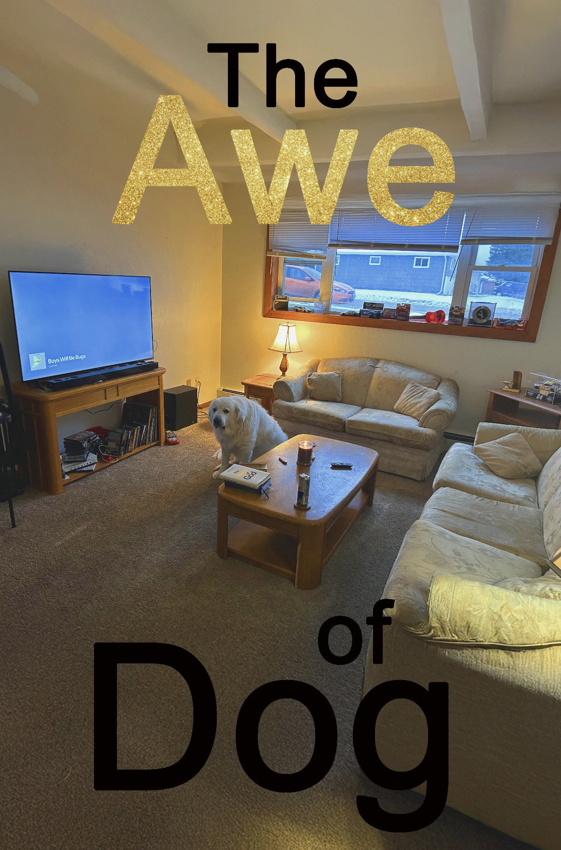 The Awe of Dog