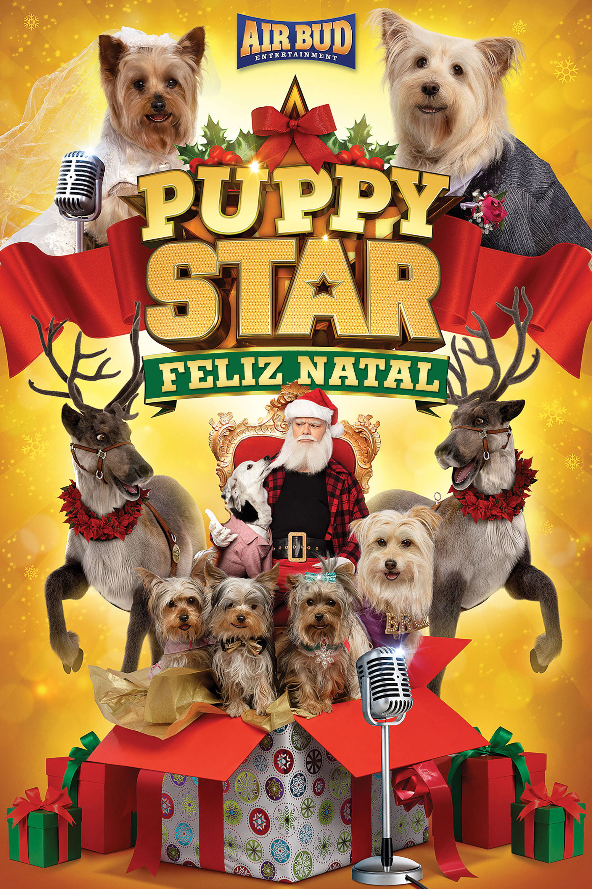 Puppy Star Christmas