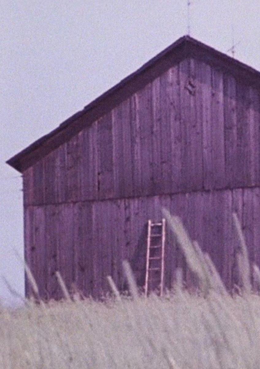 Barn Rushes
