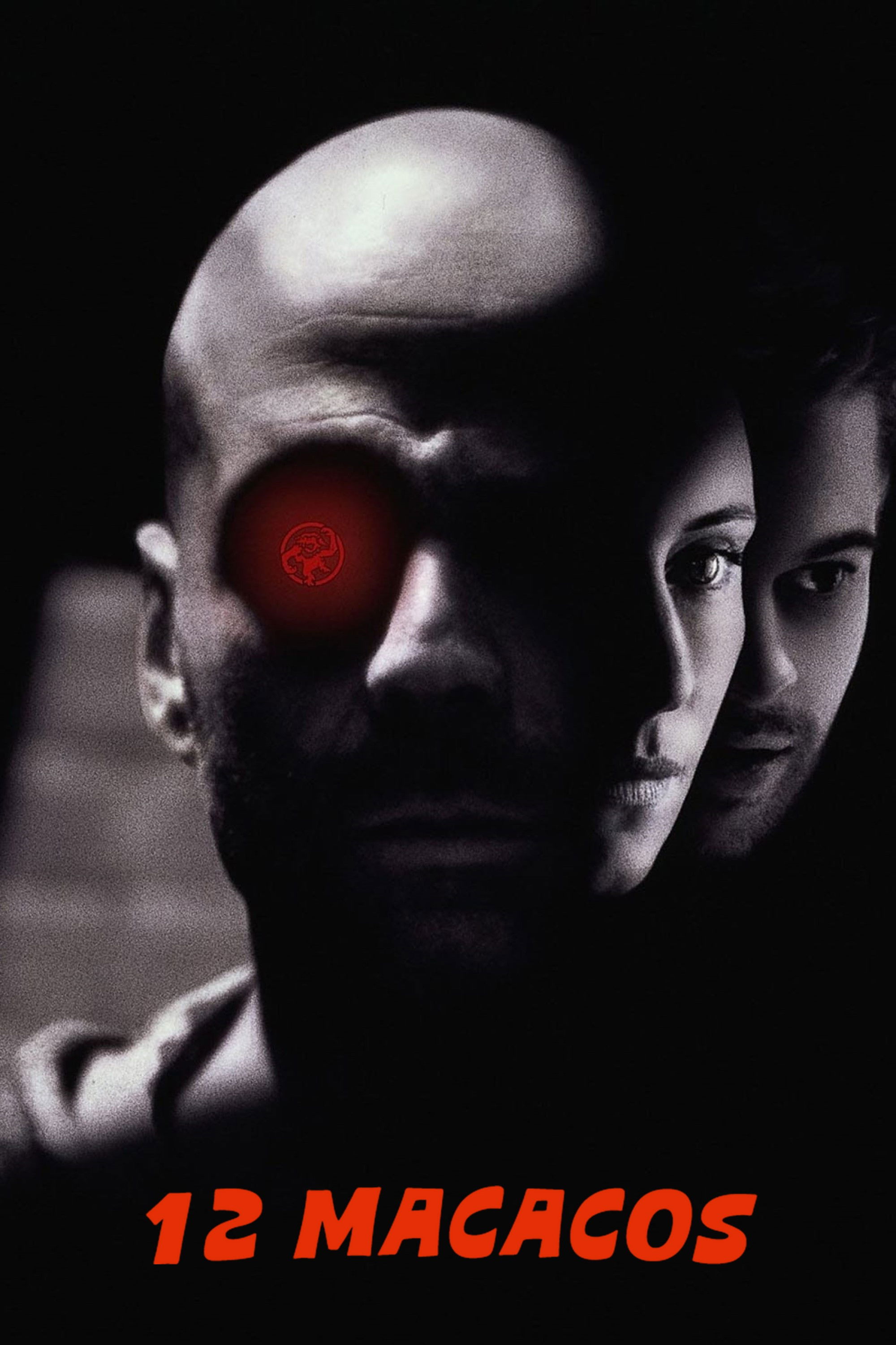 12 Macacos