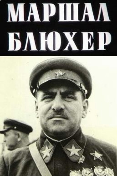 Маршал Блюхер: Портрет на фоне эпохи