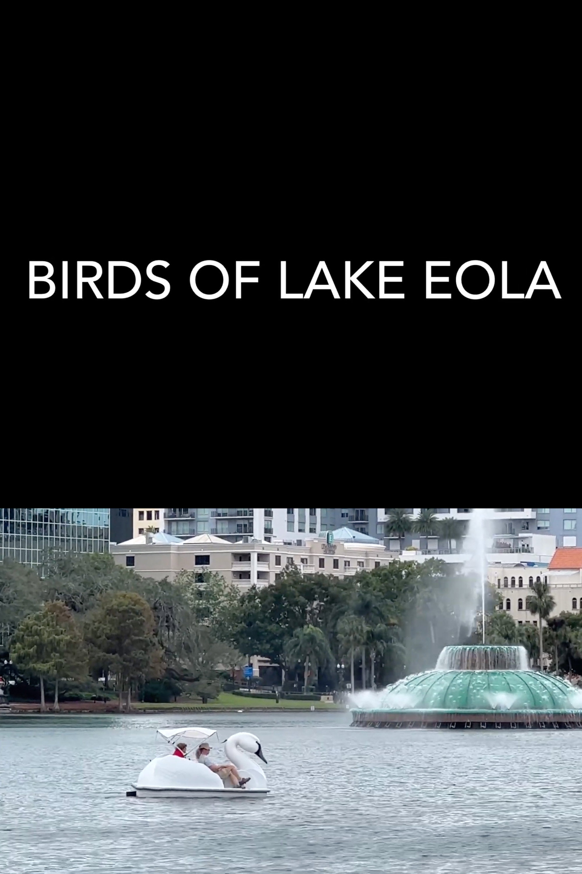 Birds of Lake Eola