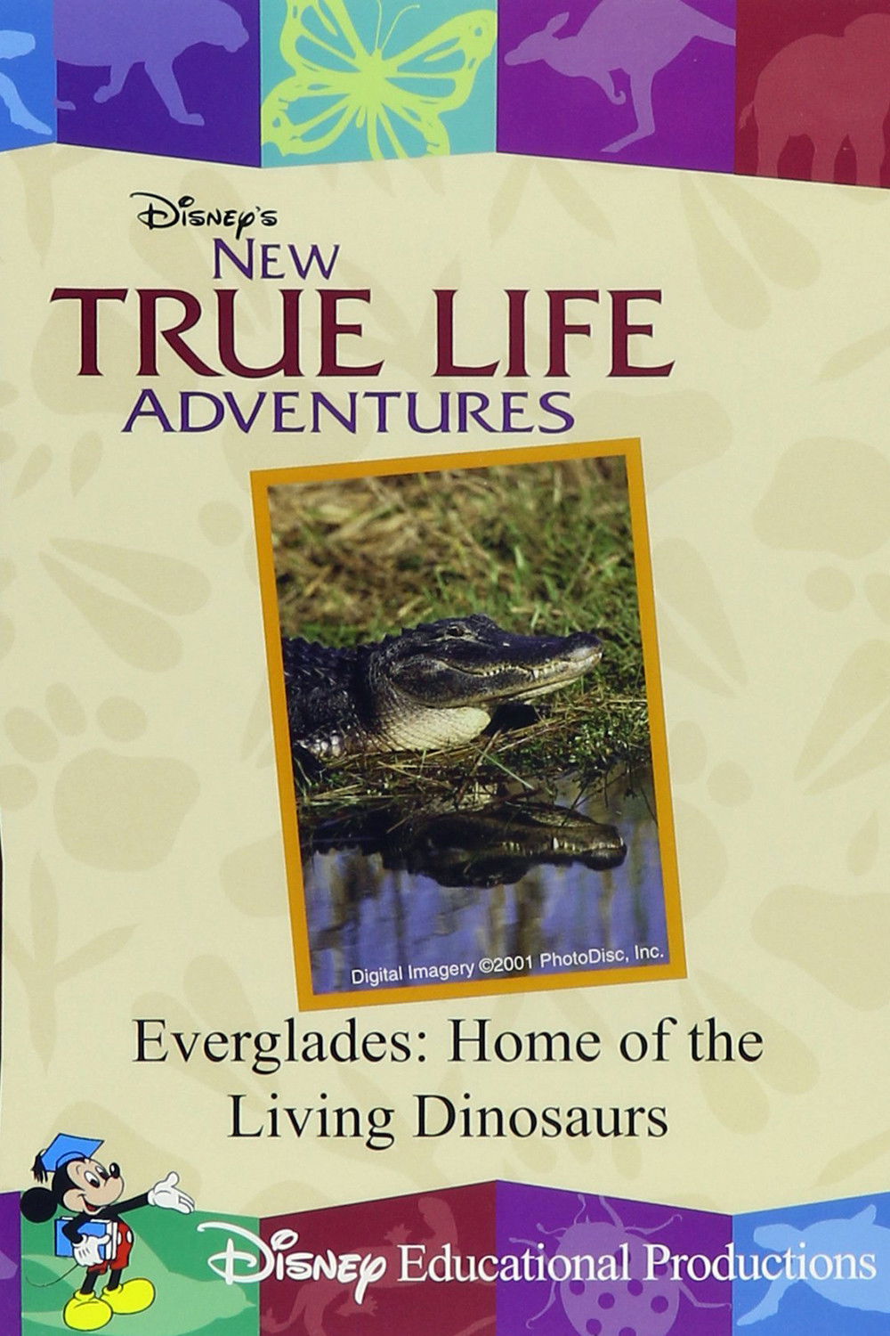 Everglades: Home of the Living Dinosaurs