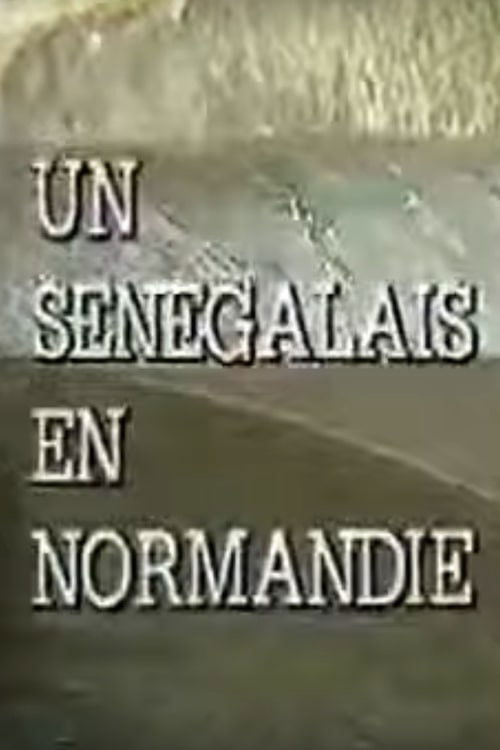 A Senegalese Man in Normandy