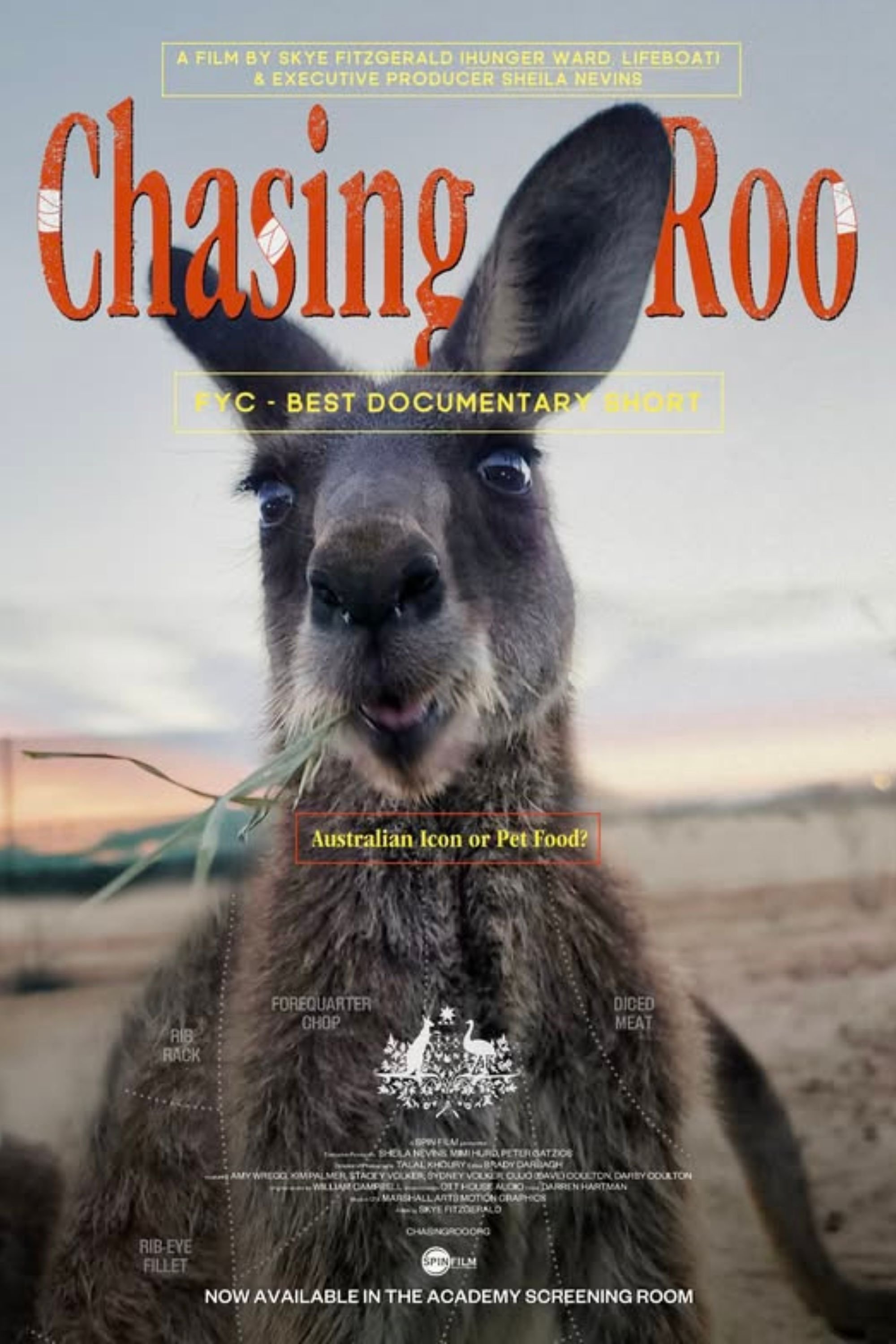 Chasing Roo