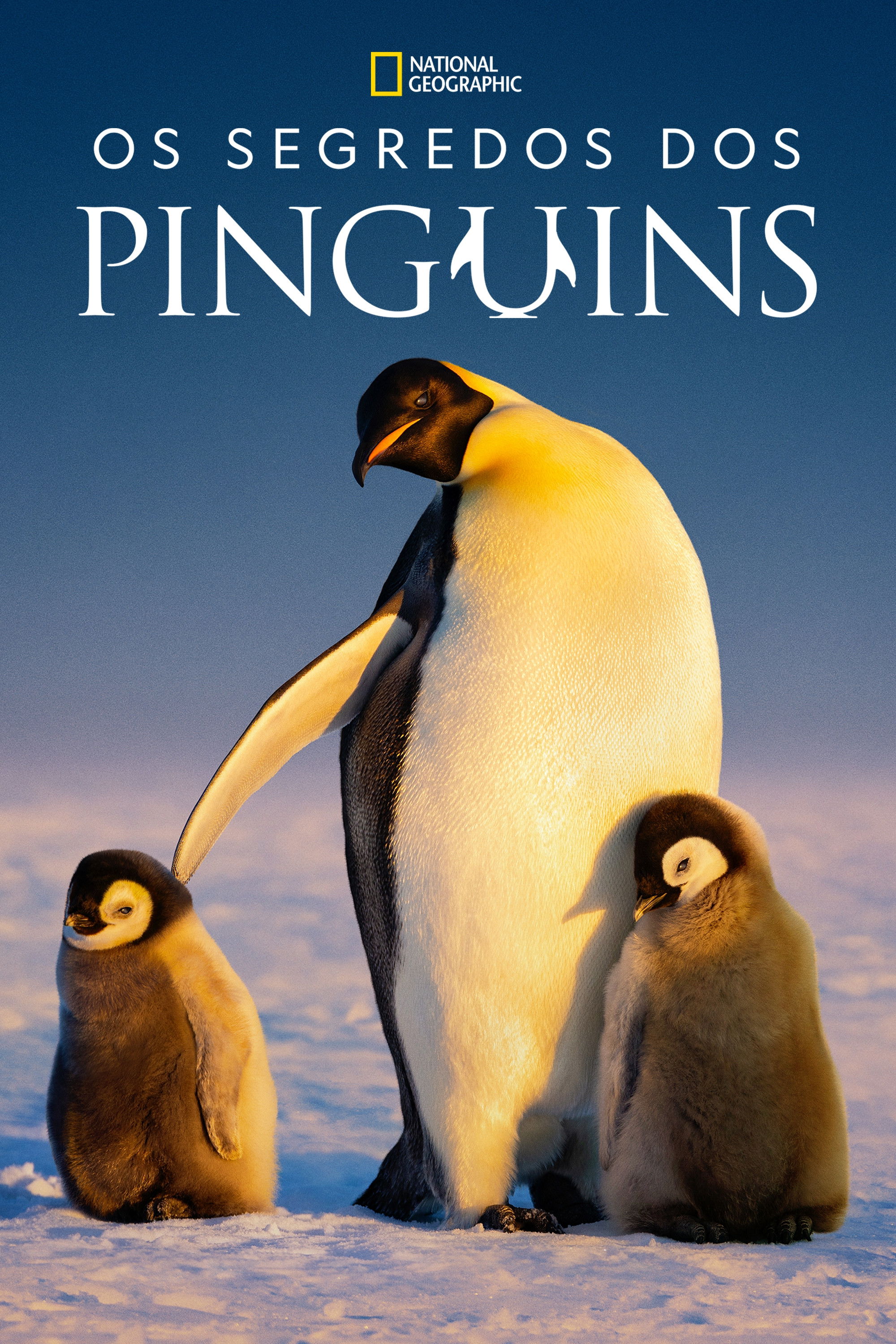 Os Segredos dos Pinguins