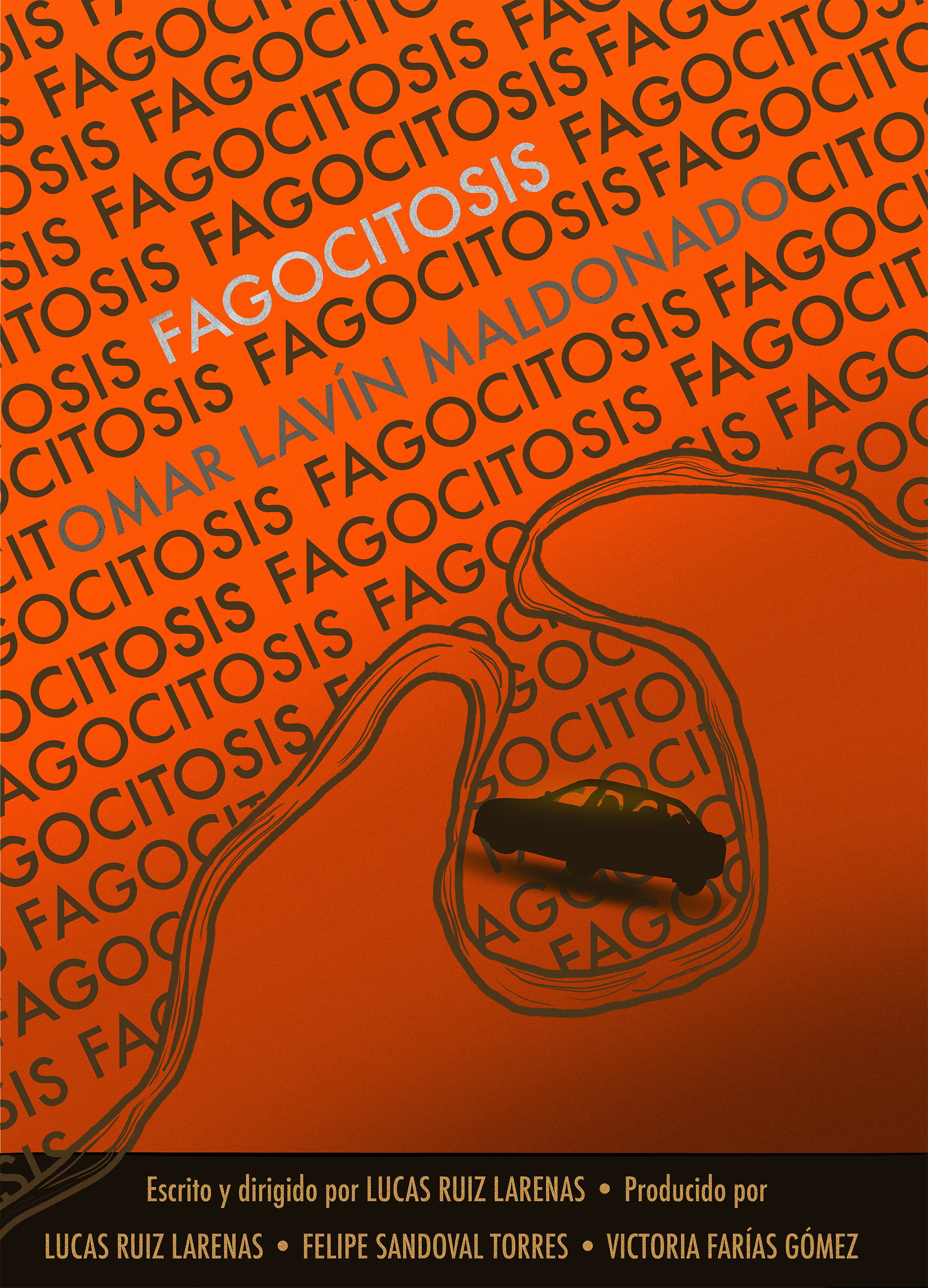 Fagocitosis