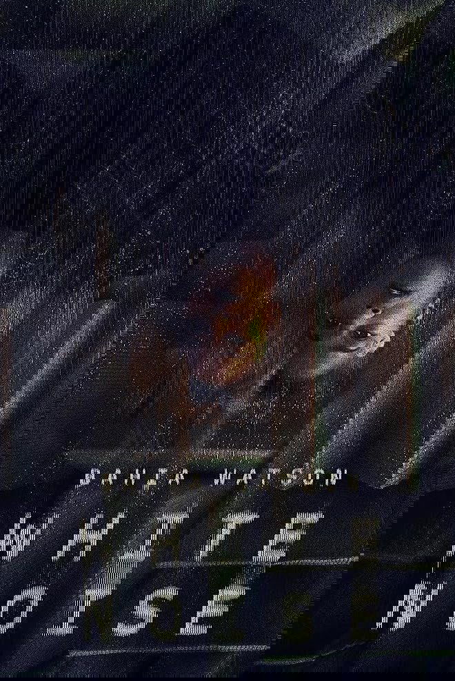 White Noise