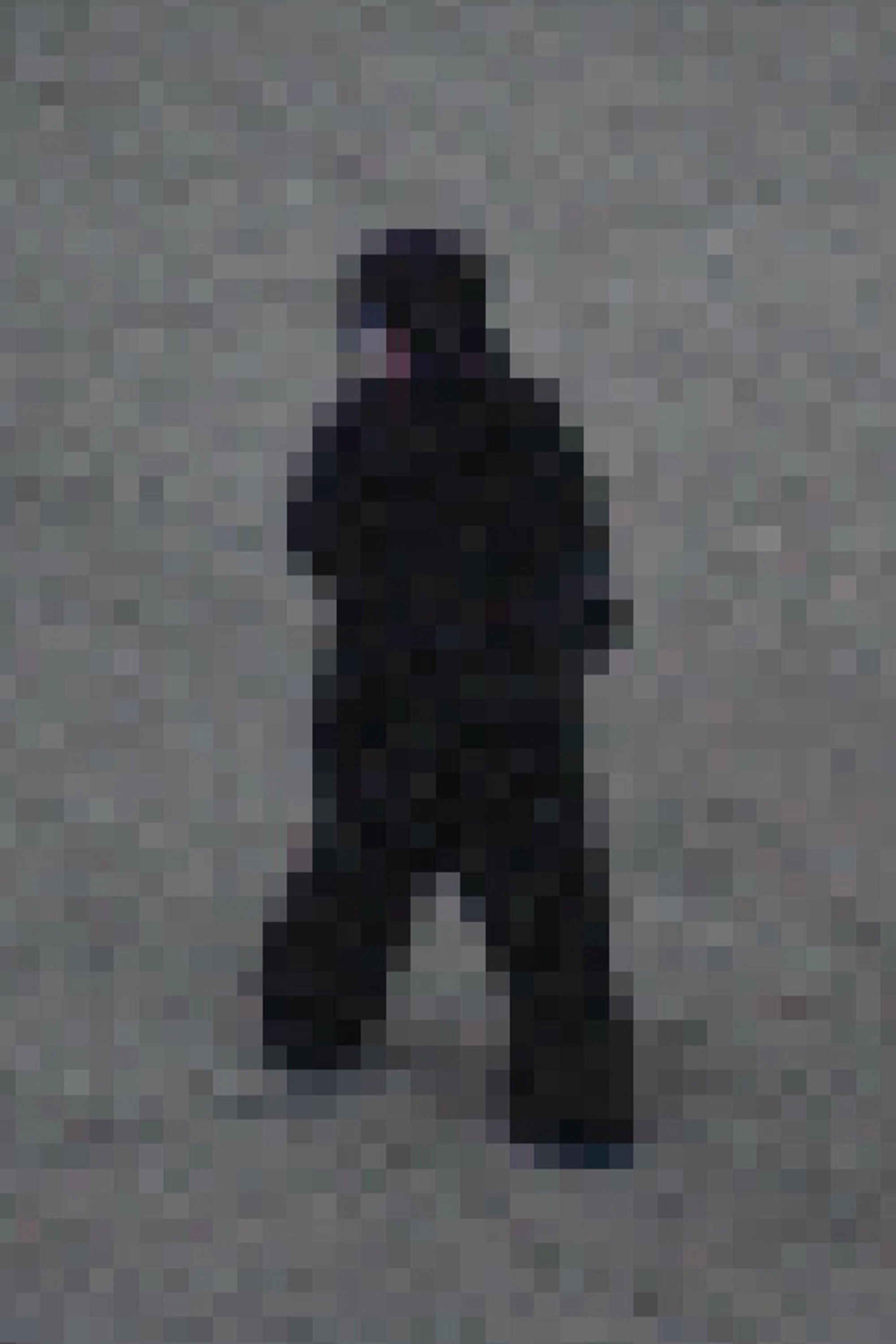 Gorilla Gorilla