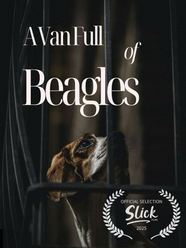 A Van Full of Beagles