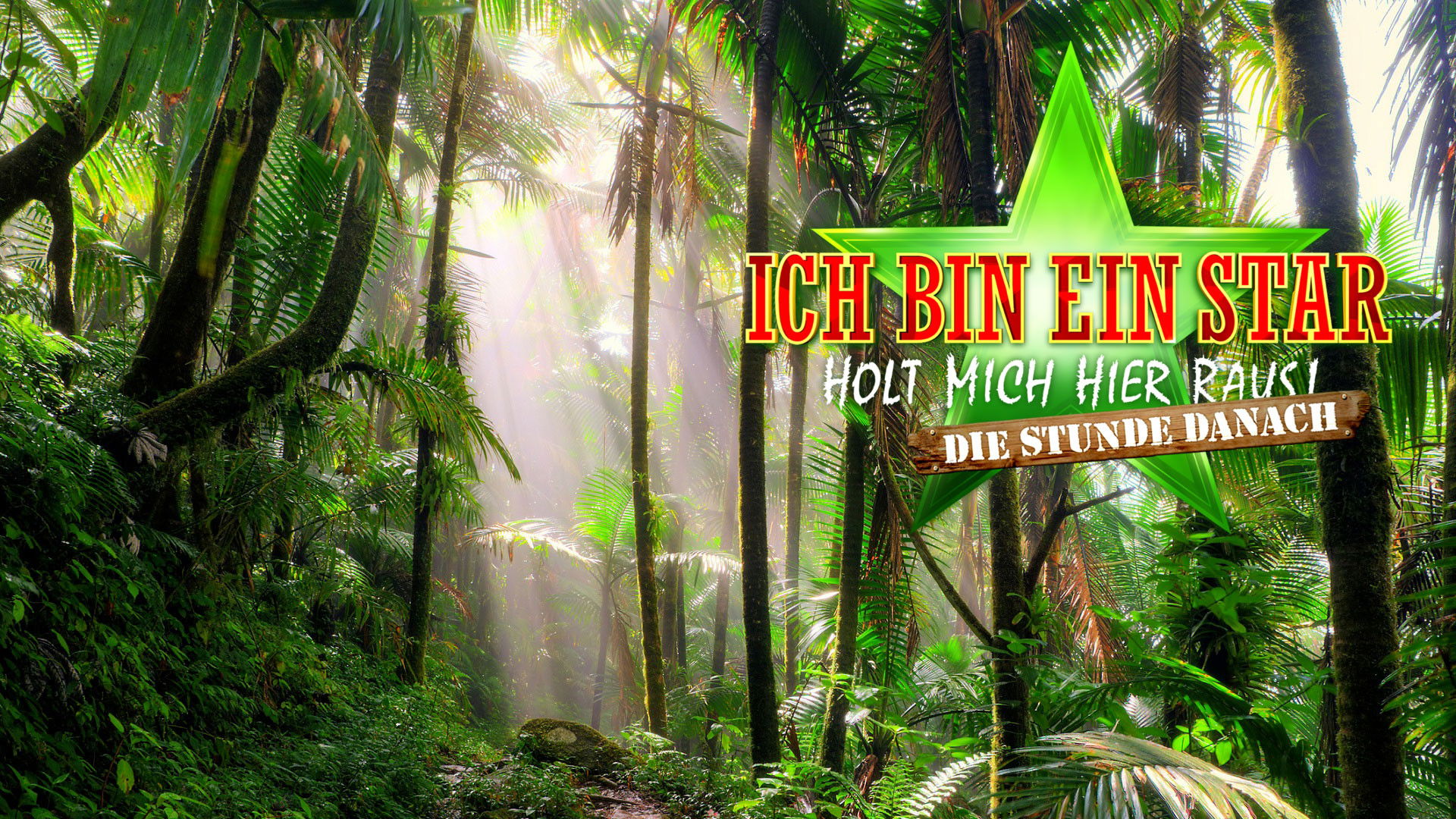 Ich bin ein Star – Holt mich hier raus! Die Stunde danach