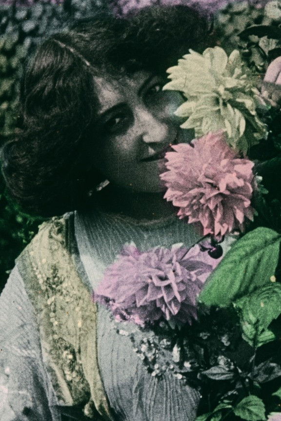 La Culture du dahlia