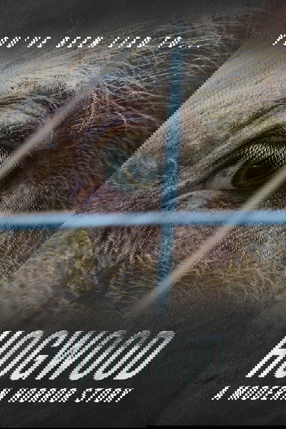Hogwood: A Modern Horror Story