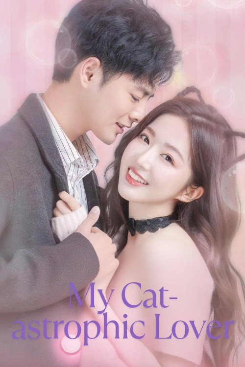 My Cat-astrophic Lover