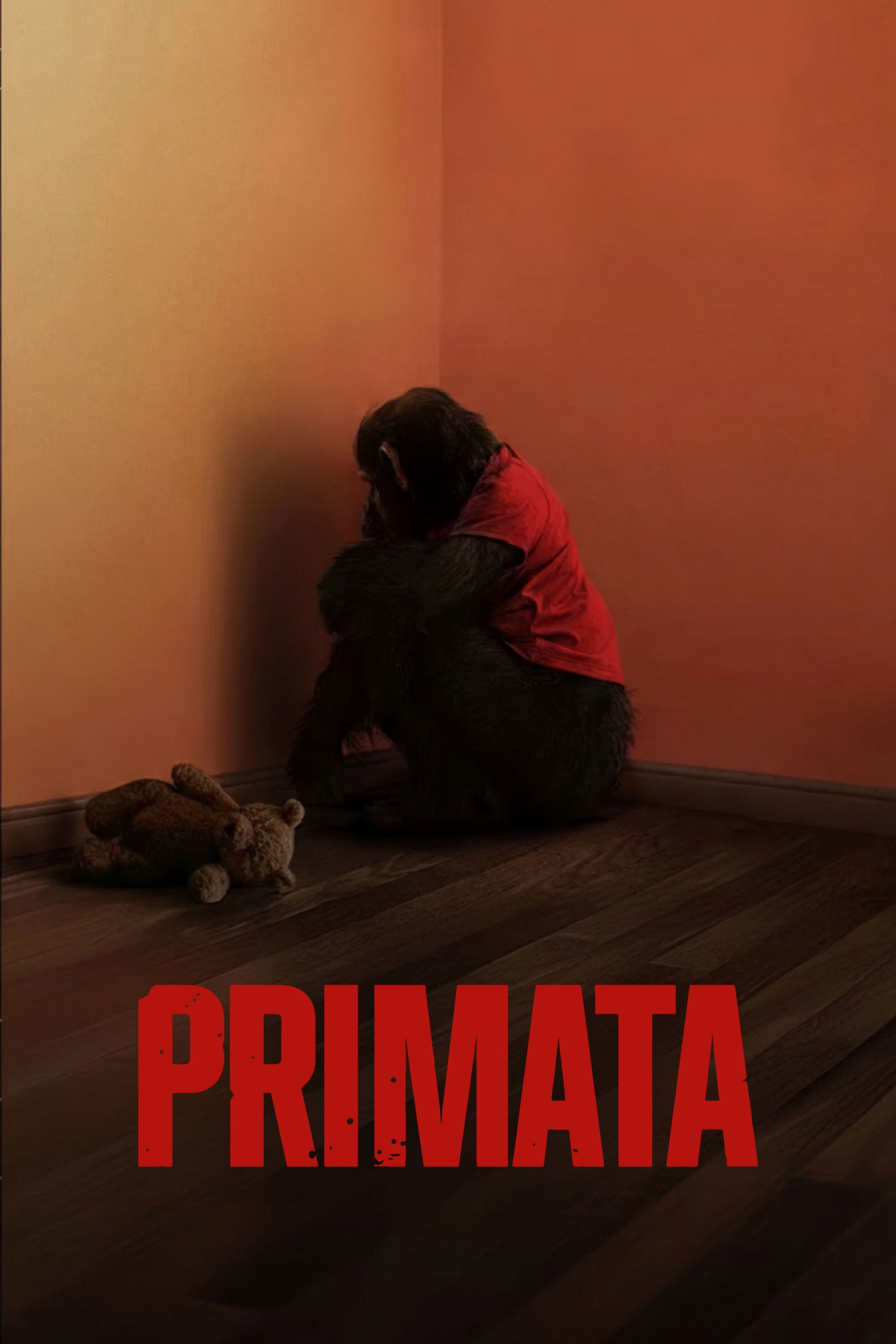 Primata